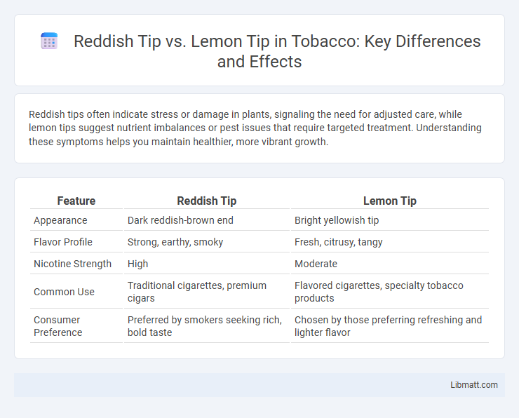 Reddish Tip vs. Lemon Tip in Tobacco: Key Differences and Effects