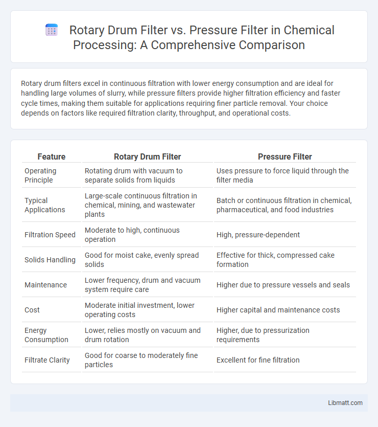 Rotary Drum Filter vs. Pressure Filter in Chemical Processing: A Comprehensive Comparison