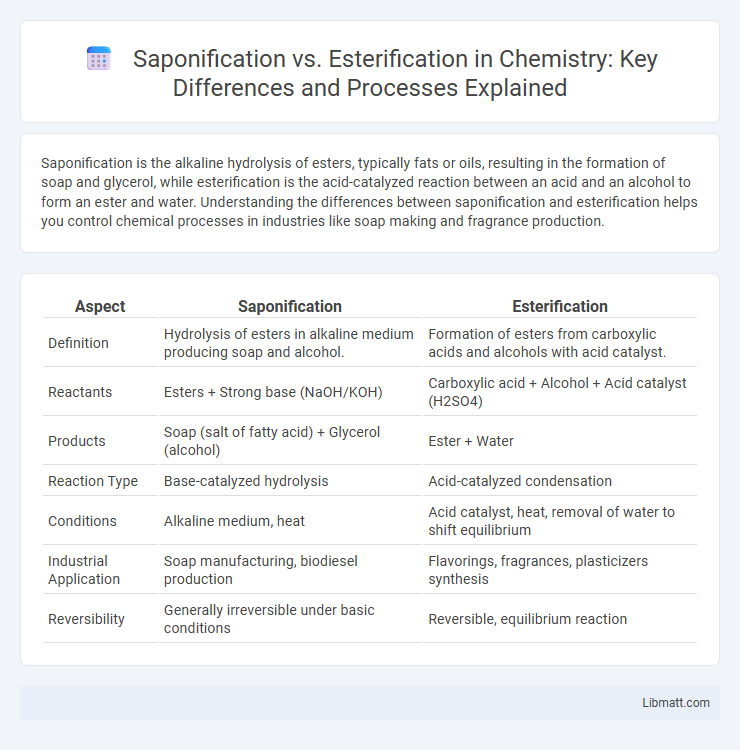Saponification vs. Esterification in Chemistry: Key Differences and Processes Explained