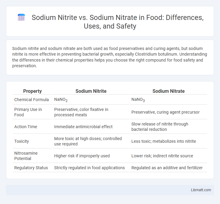 Sodium Nitrite vs. Sodium Nitrate in Food: Differences, Uses, and Safety