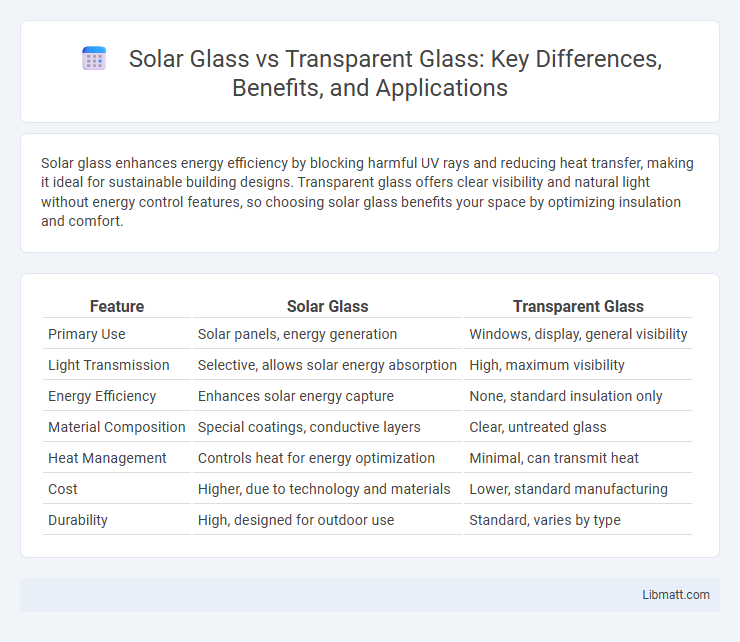 Solar Glass vs Transparent Glass: Key Differences, Benefits, and Applications