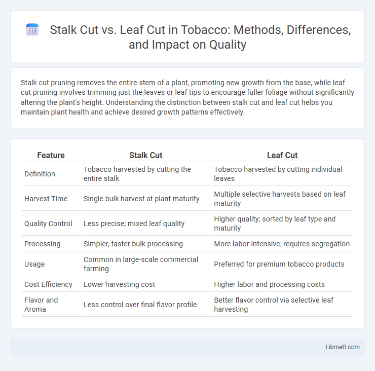 Stalk Cut vs. Leaf Cut in Tobacco: Methods, Differences, and Impact on Quality