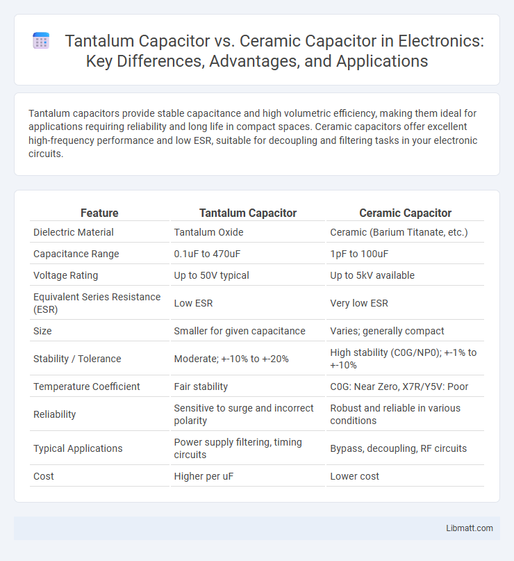 Tantalum Capacitor vs. Ceramic Capacitor in Electronics: Key Differences, Advantages, and Applications