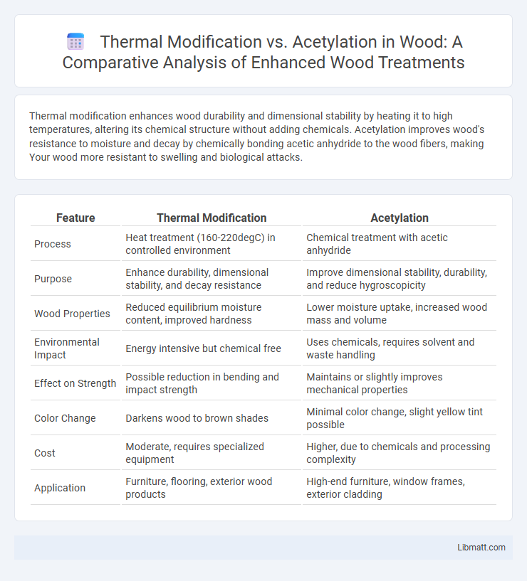 Thermal Modification vs. Acetylation in Wood: A Comparative Analysis of Enhanced Wood Treatments