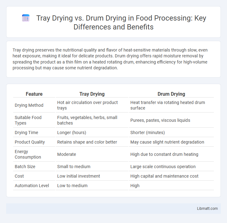 Tray Drying vs. Drum Drying in Food Processing: Key Differences and Benefits