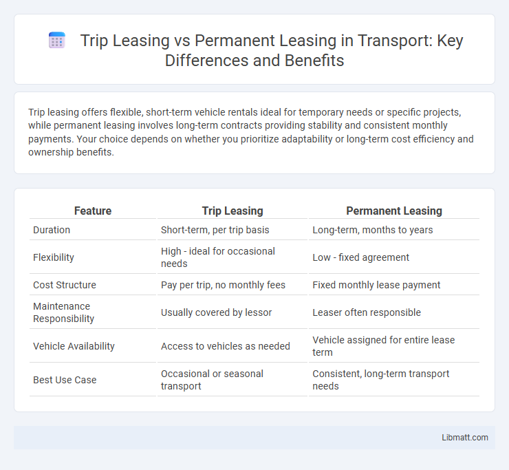 Trip Leasing vs Permanent Leasing in Transport: Key Differences and Benefits