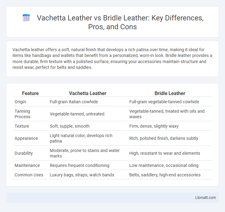 Vachetta Leather vs Bridle Leather: Key Differences, Pros, and Cons