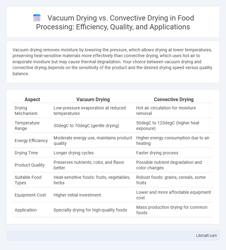 Vacuum Drying vs. Convective Drying in Food Processing: Efficiency, Quality, and Applications