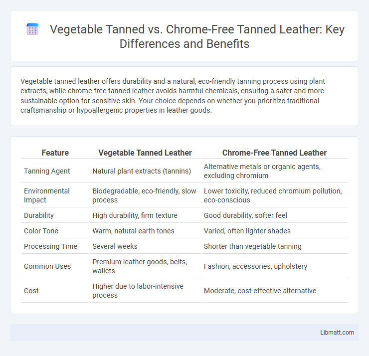 Vegetable Tanned vs. Chrome-Free Tanned Leather: Key Differences and Benefits